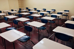 Scholarship Examination for Grade 5 Students 2026